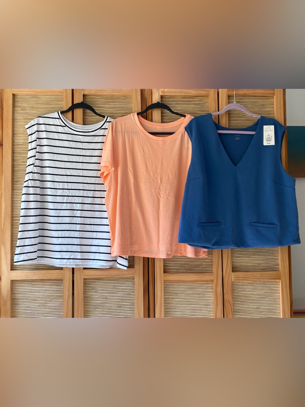 Two tops and a vest - NWT - all size 2X
